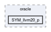 src/test-suite/oracle/SYM_llvm20_p